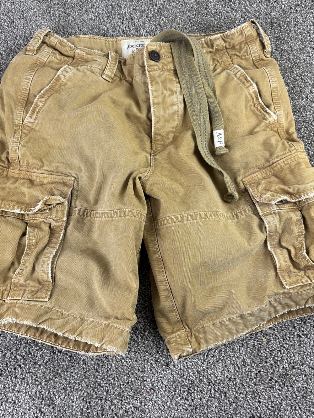 Vintage Abercrombie & Fitch Paratrooper Cargo Shorts Mens 30 Combat